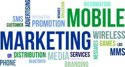 Google My Business Products